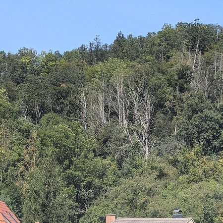 Ferienwohnung Mit Ausblick In Wimmelburg Eksteriør billede