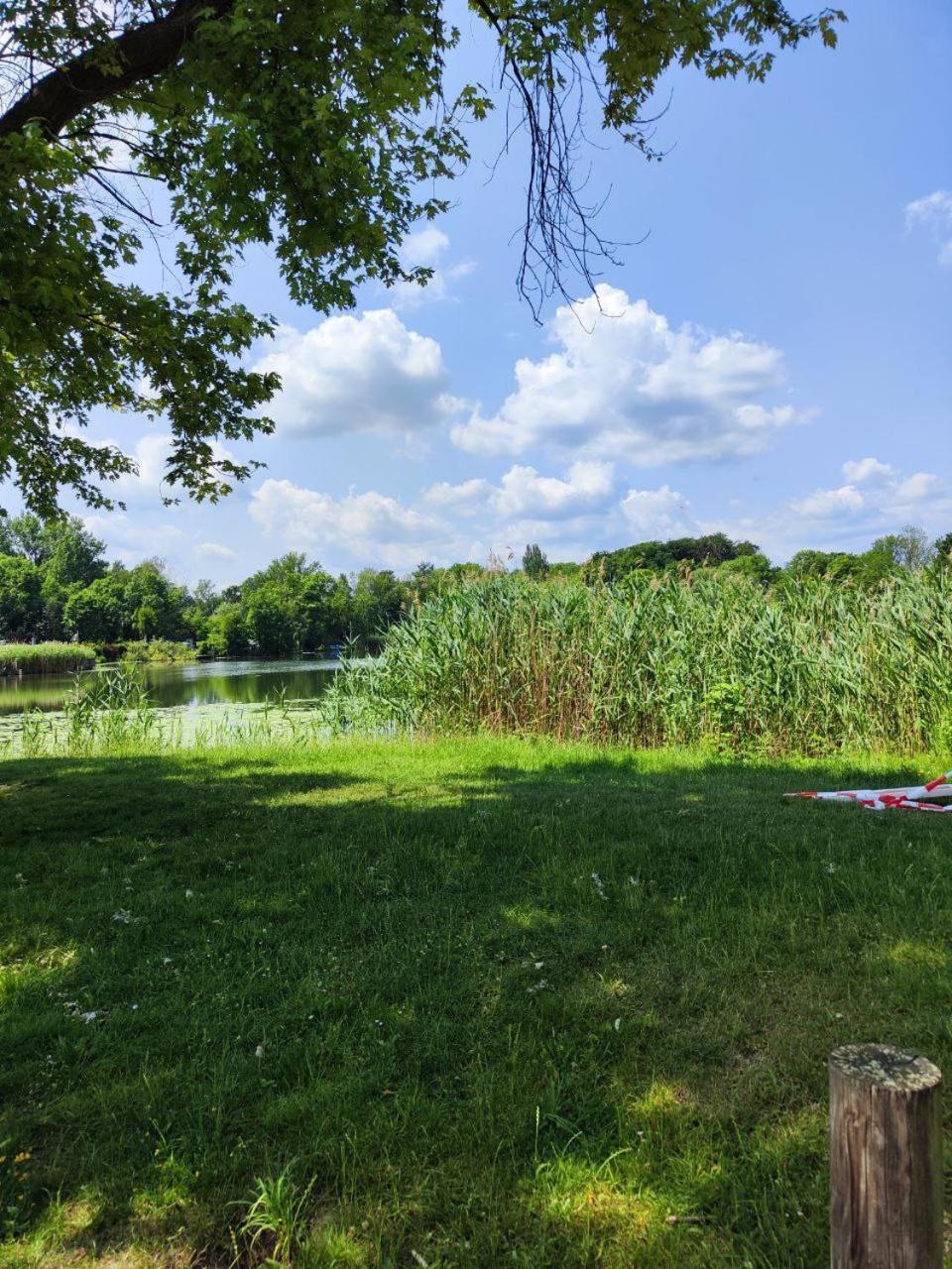 Ferienwohnung Mit Ausblick In Wimmelburg Eksteriør billede