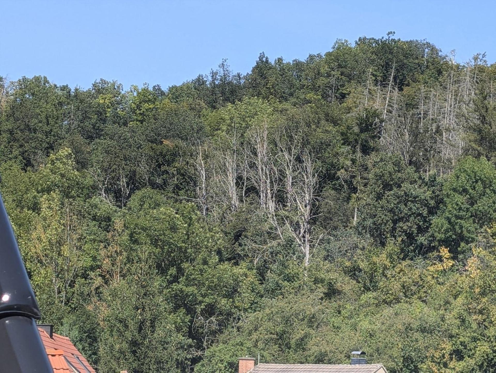 Ferienwohnung Mit Ausblick In Wimmelburg Eksteriør billede